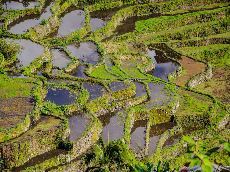 cara efisiensi irigasi sawah