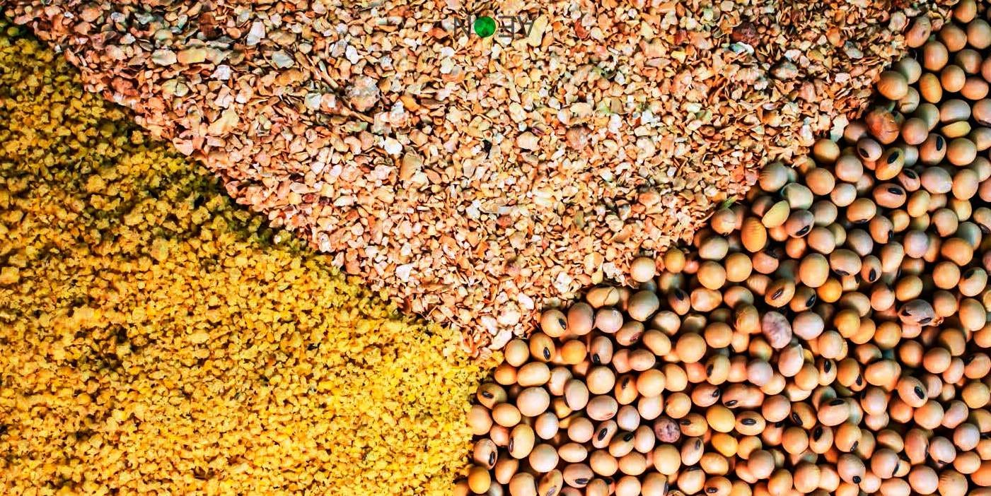 Peluang bisnis pakan ternak mandiri