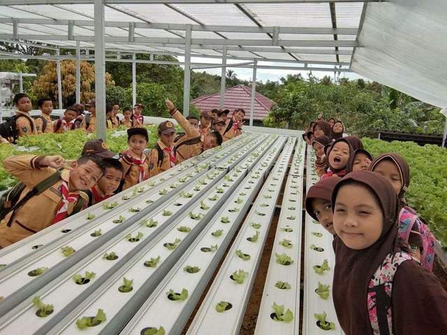 Sabut Kelapa Mendukung Green Business Pelajar