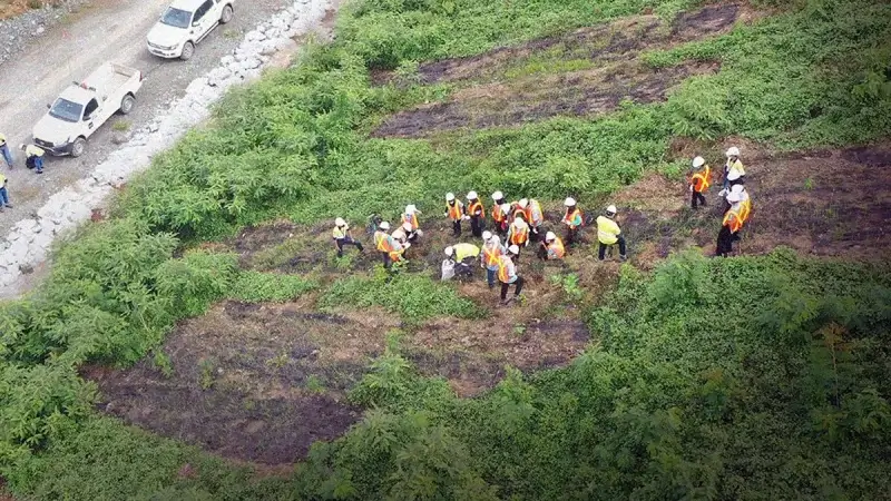 Cocomesh untuk penguatan kompetensi vokasi hijau