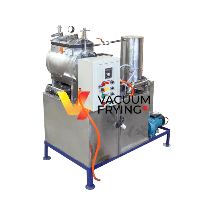 sistem vacuum frying praktis