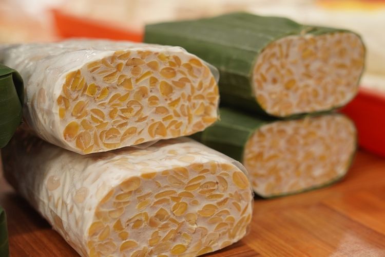 alat perajang tempe untuk usaha rumahan