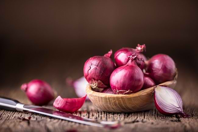 cara memulai bisnis bawang merah