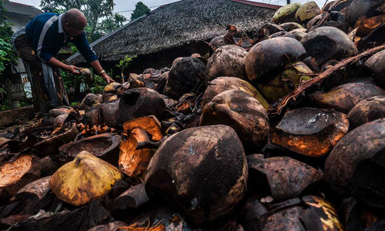Coconut Waste for Sustainable Energy