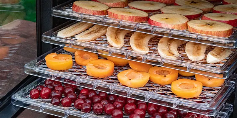 Manfaat Menggunakan Alat Pengering Makanan
