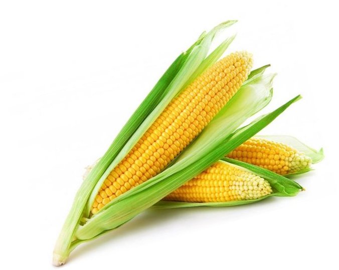 Tips Memproduksi Emping Jagung Mentah Untuk Usaha Rumahan