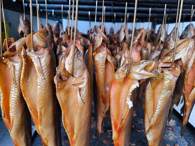 ikan apa saja yang bisa diasap