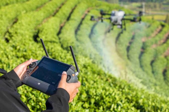 Manfaat drone dalam penyemprotan tanaman padi di area persawahan.