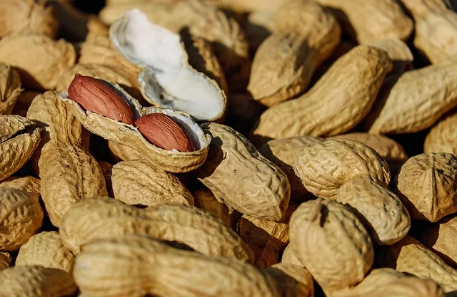 tips kacang tidak mudah pecah