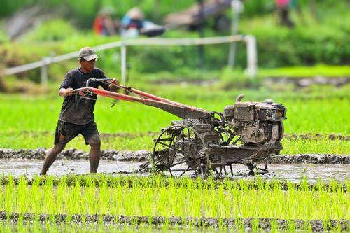 manfaat hand tractor bagi petani
